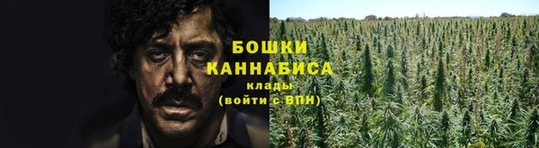 соль ск Протвино