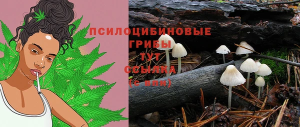 гидропоника Алексеевка